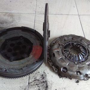sceplenye